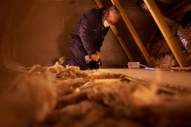 Eco-Friendly or Green Insulation Solutions in Parchment, MI